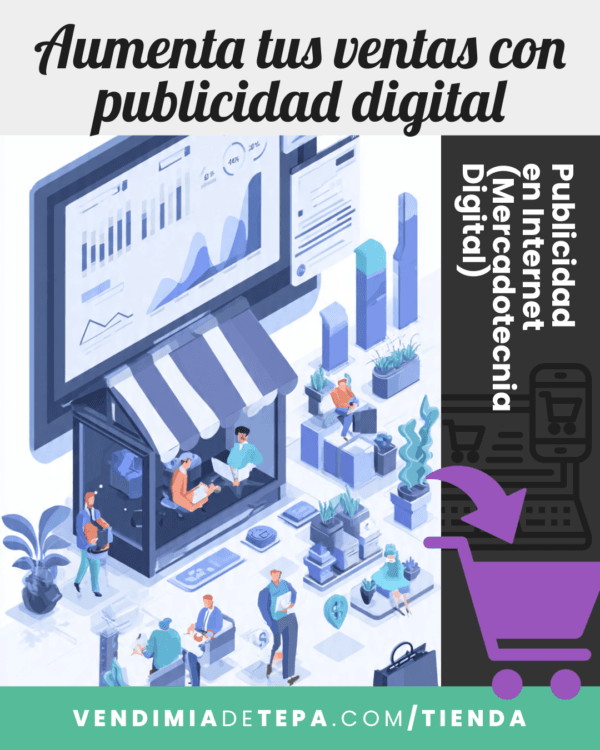 Publicidad en Internet (Mercadotecnia Digital)