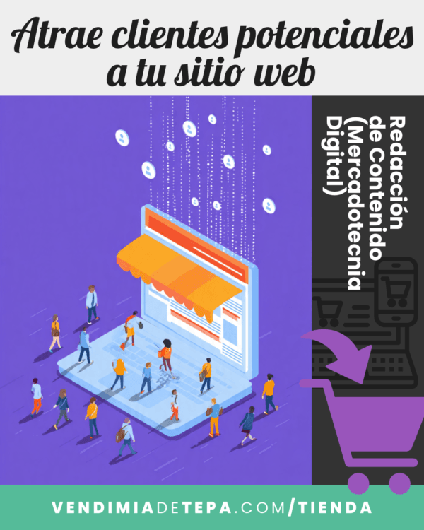 Redacción de Contenido (Mercadotecnia Digital)