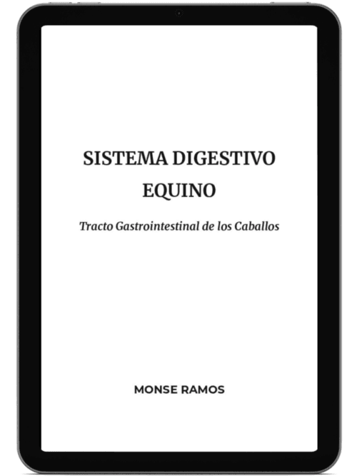 Sistema Digestivo Equino Tracto Gastrointestinal de los Caballos Sistema Digestivo Equino: Tracto Gastrointestinal de los Caballos