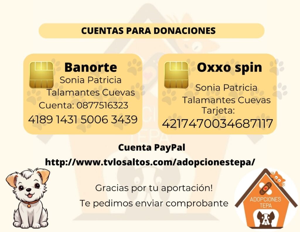 Adopciones Tepa Cuentas para Donaciones