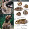 Collar Táctico Resistente para Perros Grandes