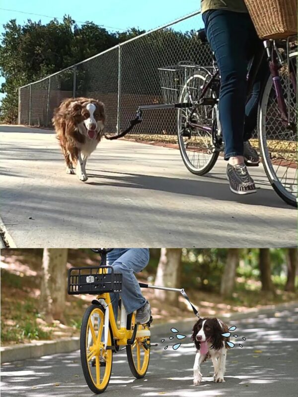 bambimo – 2 2 Tubos con Correa para Pasear Perros con Bicicleta New Urban