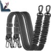 2 Cinturones de Seguridad para Perros