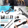 2 Cinturones de Seguridad para Perros