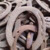 caballodomestico – 1 Herradura Auténtica de Mis Caballos para Tu Suerte