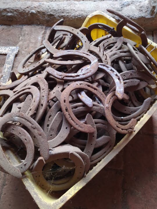 caballodomestico – 4 Herradura Auténtica para Protección y Buena Suerte