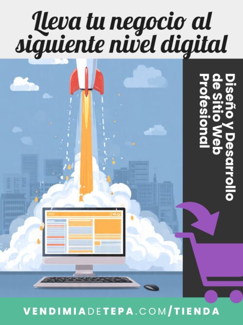 diseno-y-desarrollo-web-profesional Diseño y Desarrollo Web Profesional