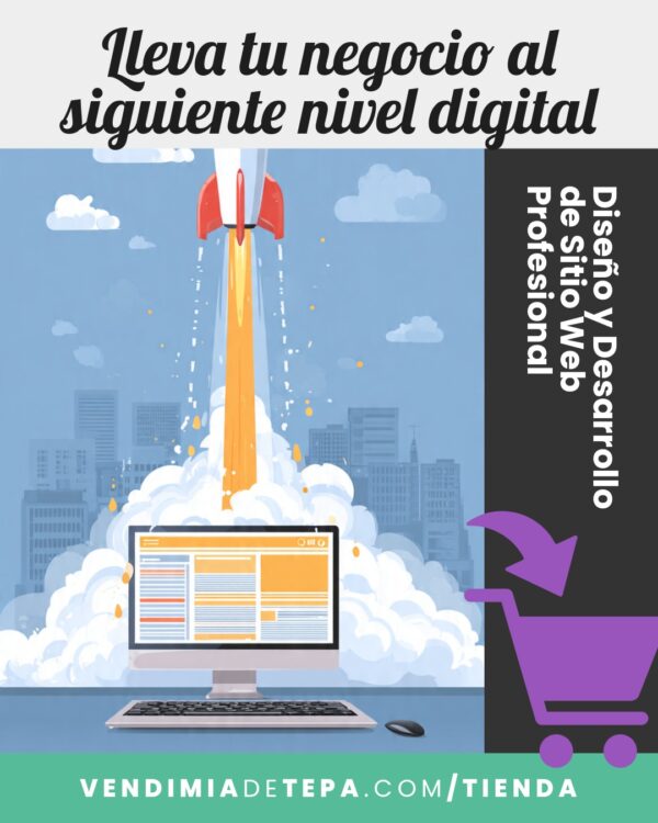 diseno-y-desarrollo-web-profesional Diseño y Desarrollo Web Profesional