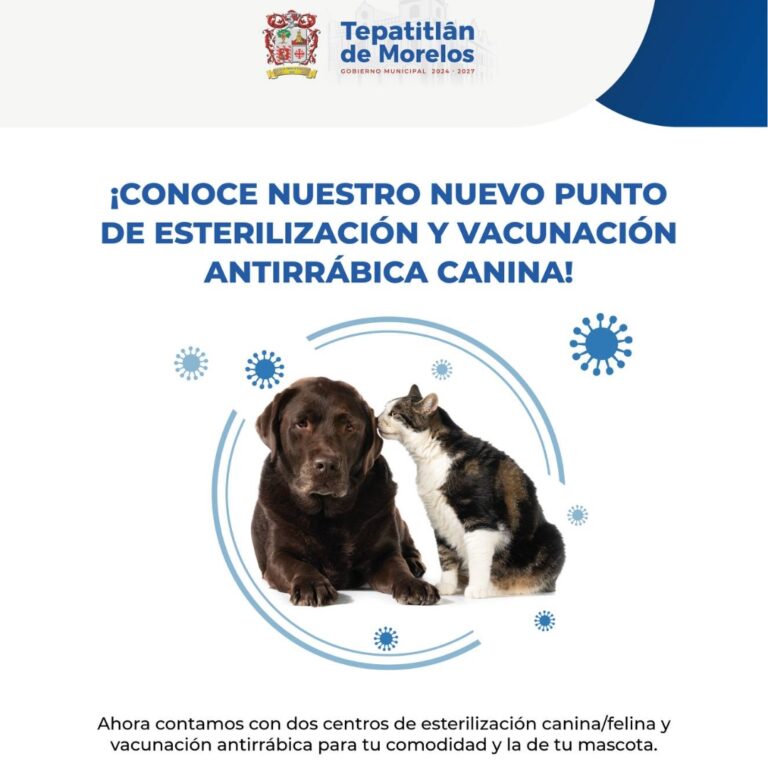 Esterilización y Vacunación Antirrábica Canina y Felina