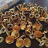 Paquete de 100 Remaches Dorados para Tela o Cuero