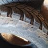 Juego de 4 Llantas AMP Terrain Attack M/T A 37x13.50R22LT